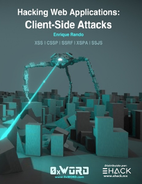 Hacking Web Applications: Client-Side Attacks